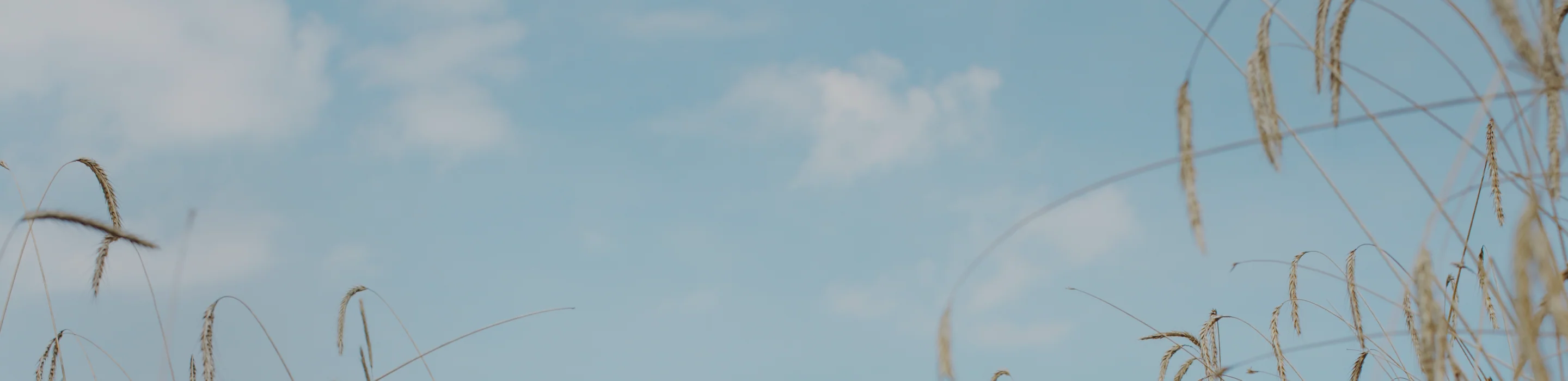 Timeless Elegance, Effortless Style